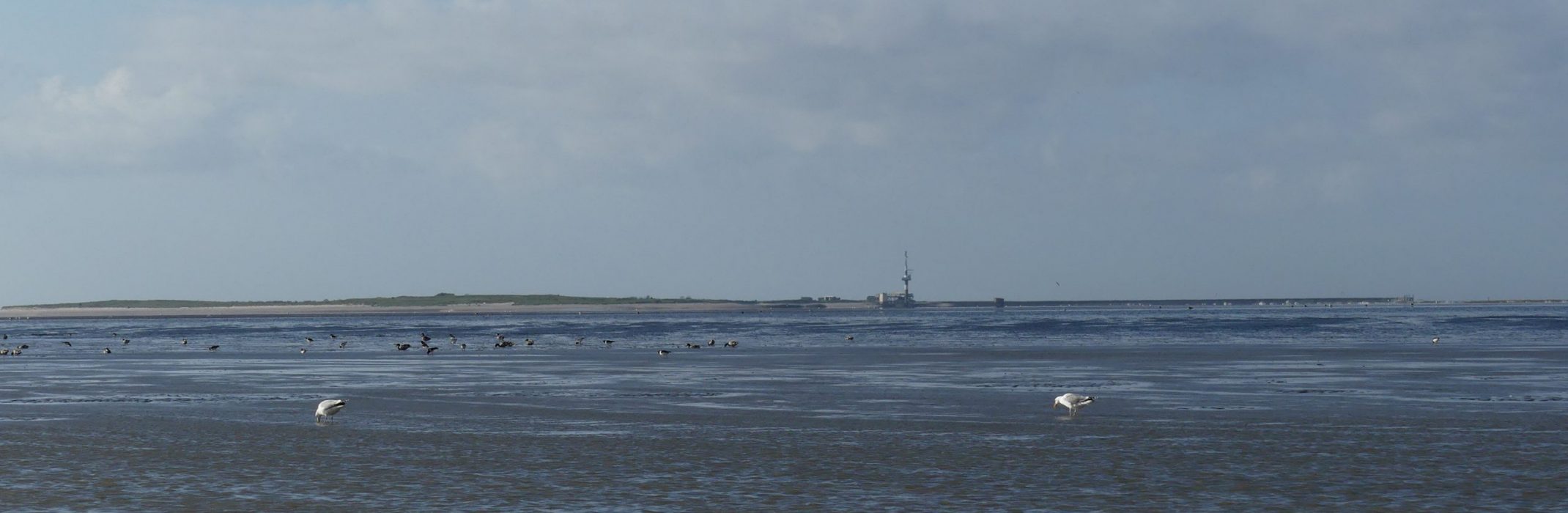 P1040176