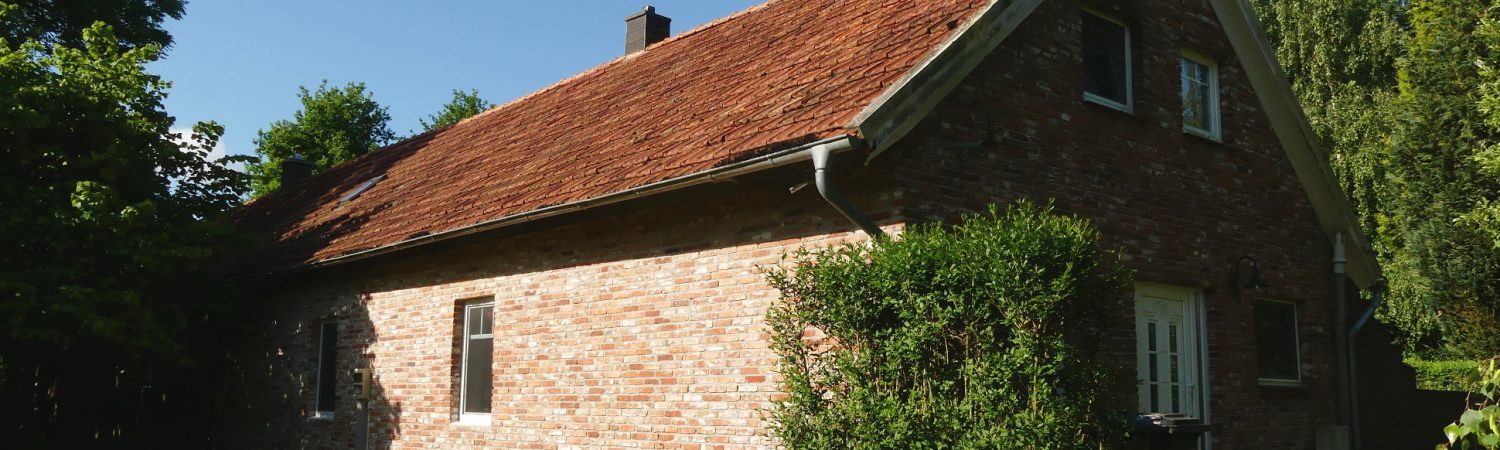 cropped-Titel-dummy.jpg